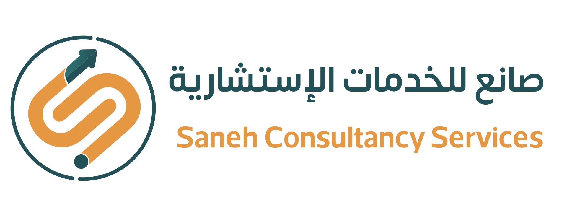sanehconsultancy